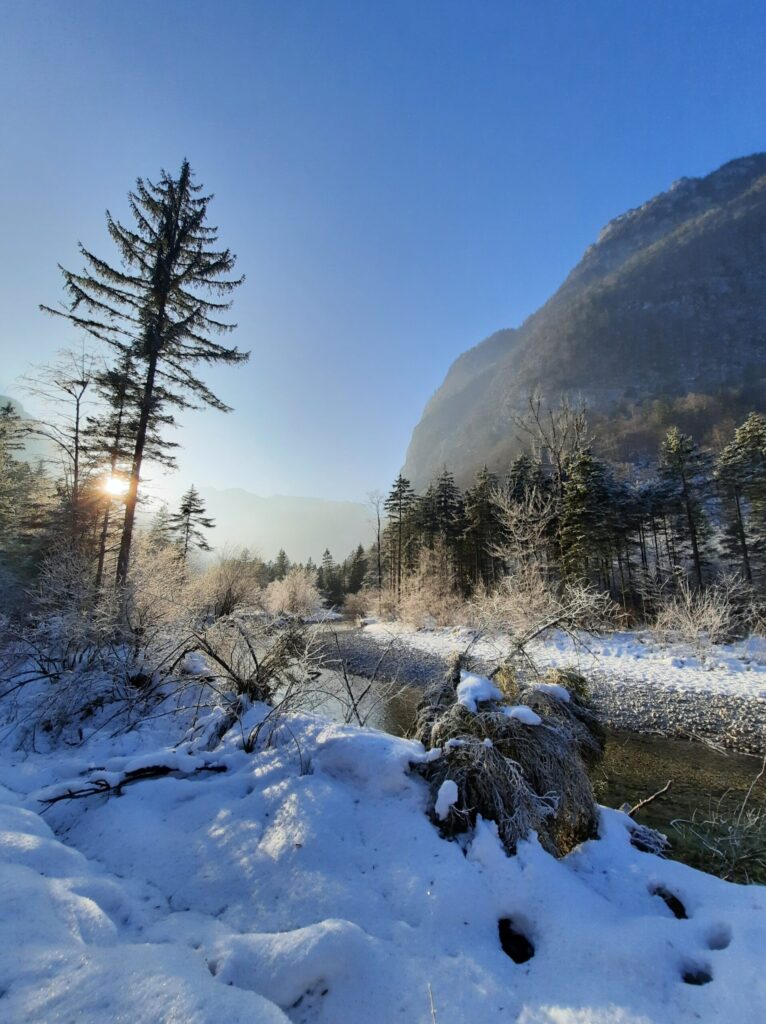 geführte Winterwanderung