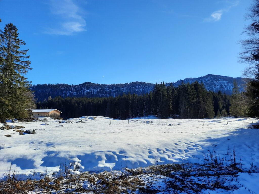 geführte Winterwanderung