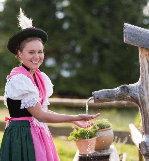 trachtendirndl am almtrog
